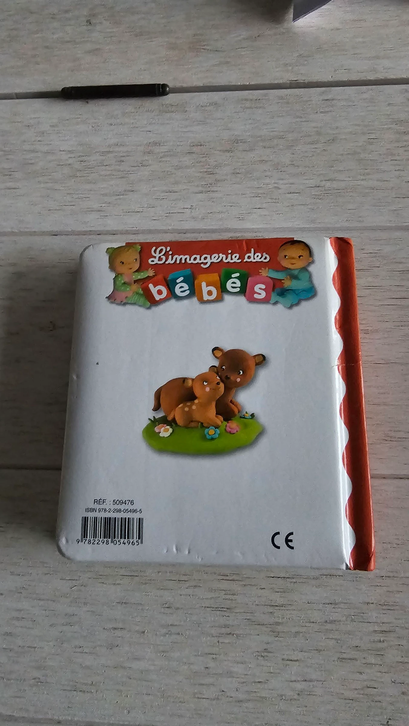 A imagem dos bebês 'la forêt' – photo 3